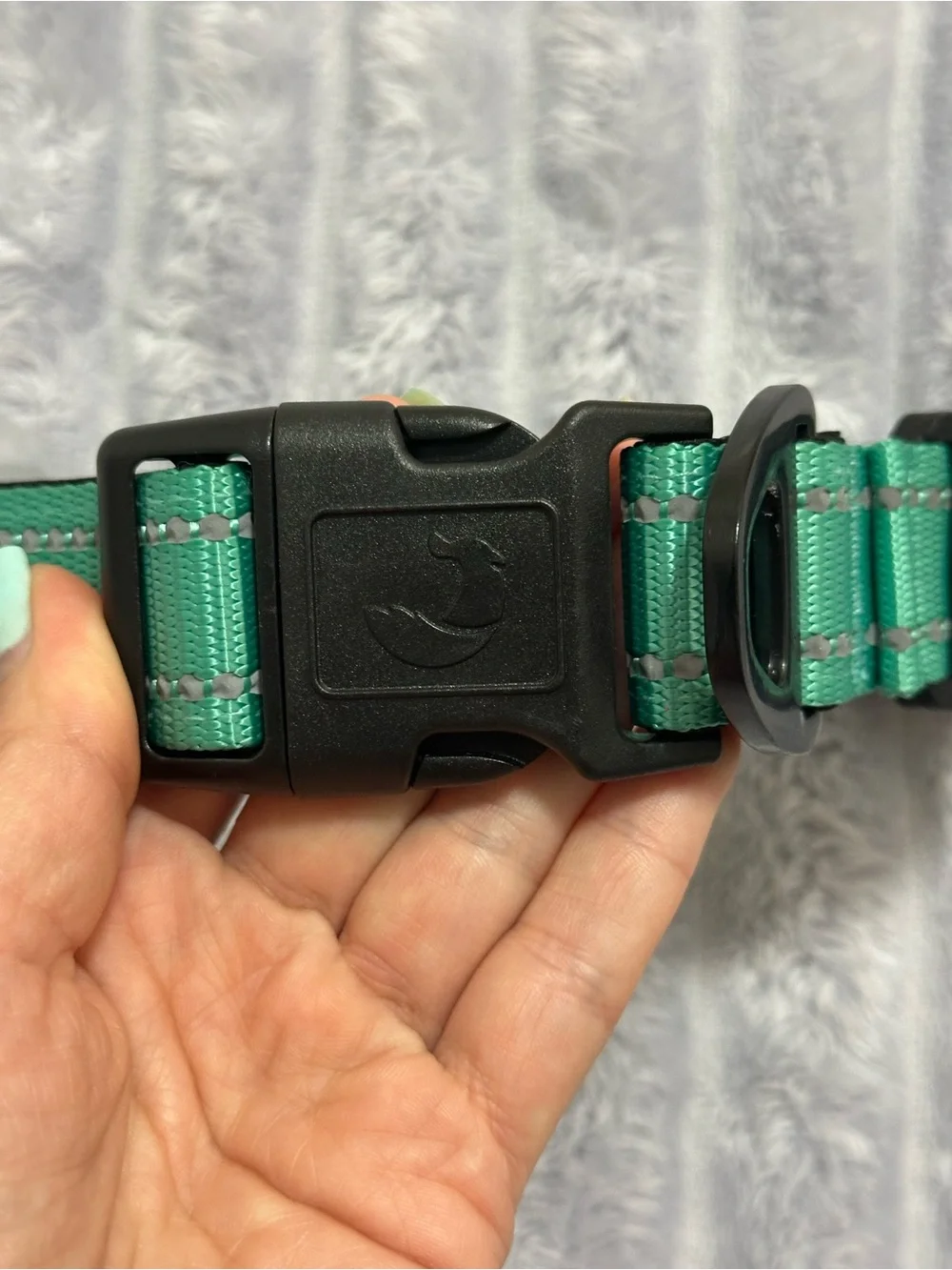Adjustable Green Nylon Dog Collar with Quick-Release Buckle